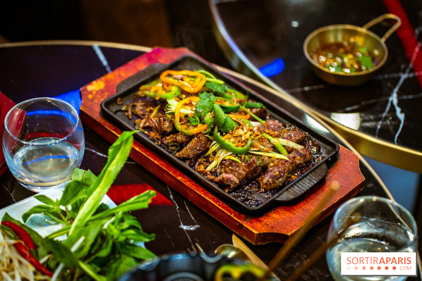 Amour du Vietnam, le restaurant Vietnamien Paris 14e - A7C01613