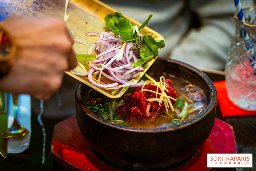 Amour du Vietnam, le restaurant Vietnamien Paris 14e - A7C01556