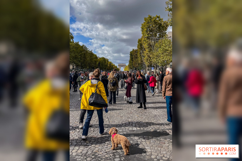 La Marche des animaux à Paris : défilé gratuit, ouvert aux chiens, chats ... sur les Champs-Élysées