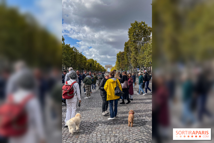 La Marche des animaux à Paris : défilé gratuit, ouvert aux chiens, chats ... sur les Champs-Élysées
