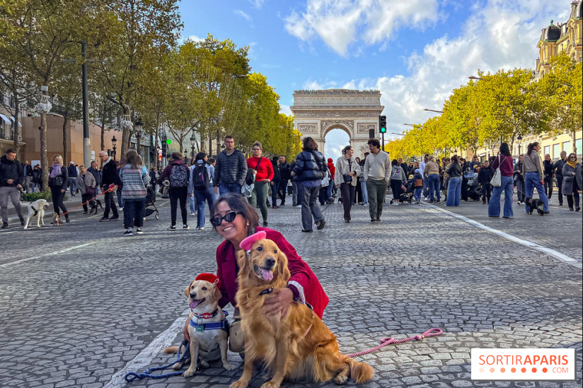 La Marche des animaux à Paris : défilé gratuit, ouvert aux chiens, chats ... sur les Champs-Élysées