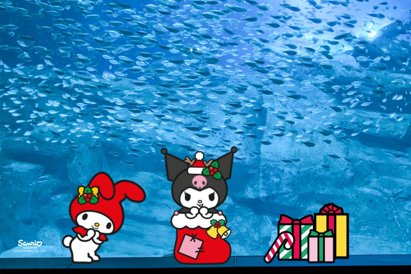 Hello Kitty et ses amis célèbrent les fêtes de fin d'année à l'Aquarium de Paris ! - 1000 x 1500 px newsletter 3