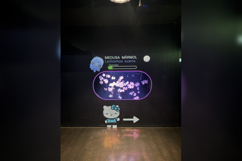 Hello Kitty et ses amis célèbrent les fêtes de fin d'année à l'Aquarium de Paris ! - IMG 8253