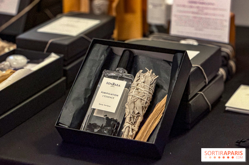 Noël 2025 à Paris : le charmant Marché de Noël dans une suite de l'Hôtel de Crillon  - IMG 3316