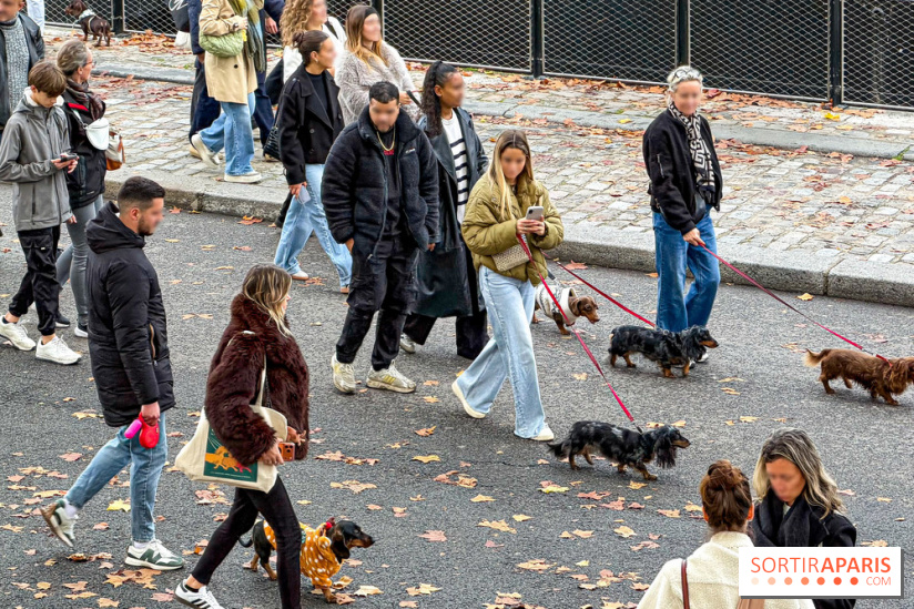Paris Sausage Walk, la Marche des Teckels 2025 - Facetune 19 09 2026 23 19 22