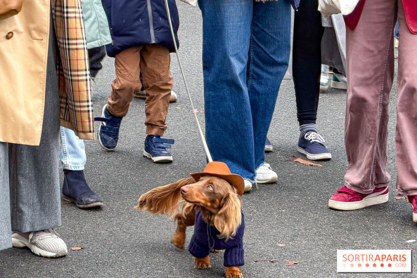 Paris Sausage Walk, la Marche des Teckels 2025