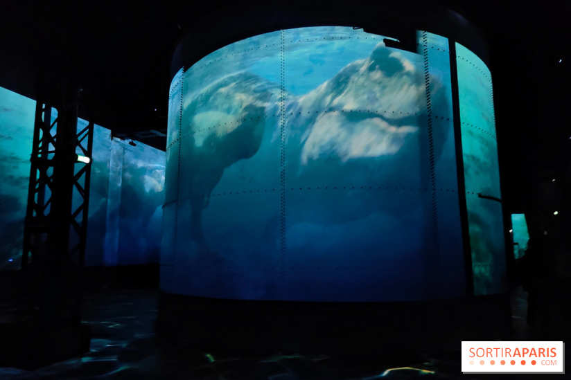 Dinosaures : l'expérience immersive qui nous fait remonter le temps à l'Atelier des Lumières, photos