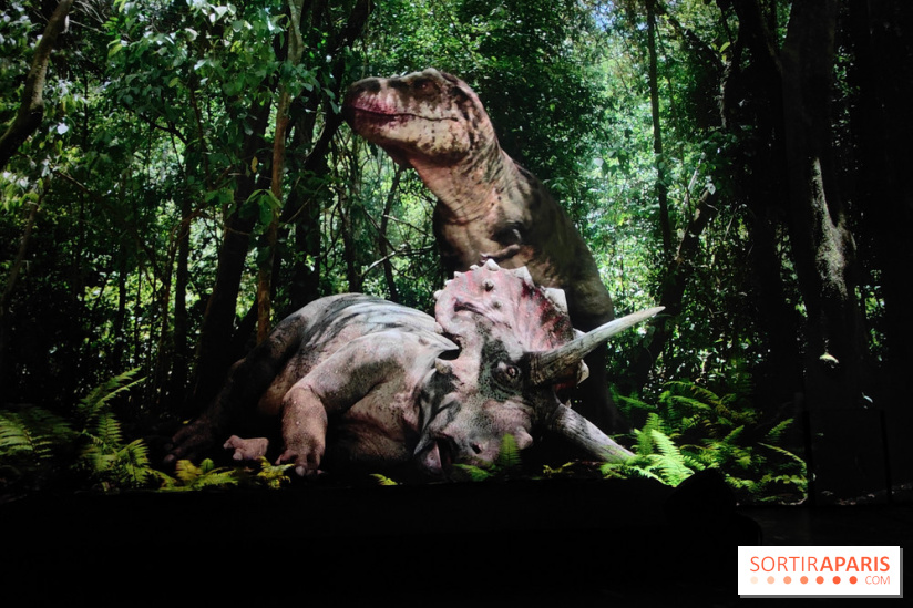 Dinosaures : l'expérience immersive qui nous fait remonter le temps à l'Atelier des Lumières, photos - fotor 1764680104761