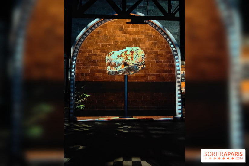 Dinosaures : l'expérience immersive qui nous fait remonter le temps à l'Atelier des Lumières, photos - fotor 1764680952521