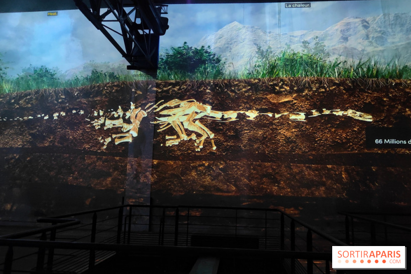 Dinosaures : l'expérience immersive qui nous fait remonter le temps à l'Atelier des Lumières, photos