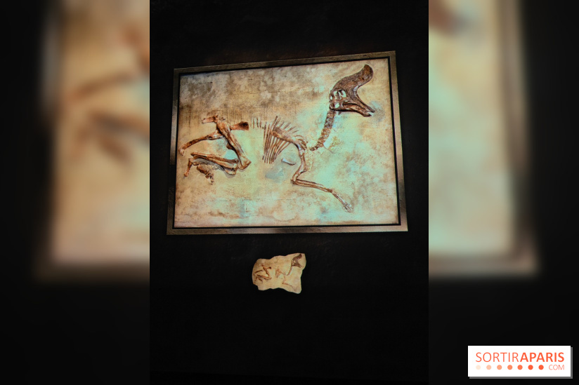Dinosaures : l'expérience immersive qui nous fait remonter le temps à l'Atelier des Lumières, photos