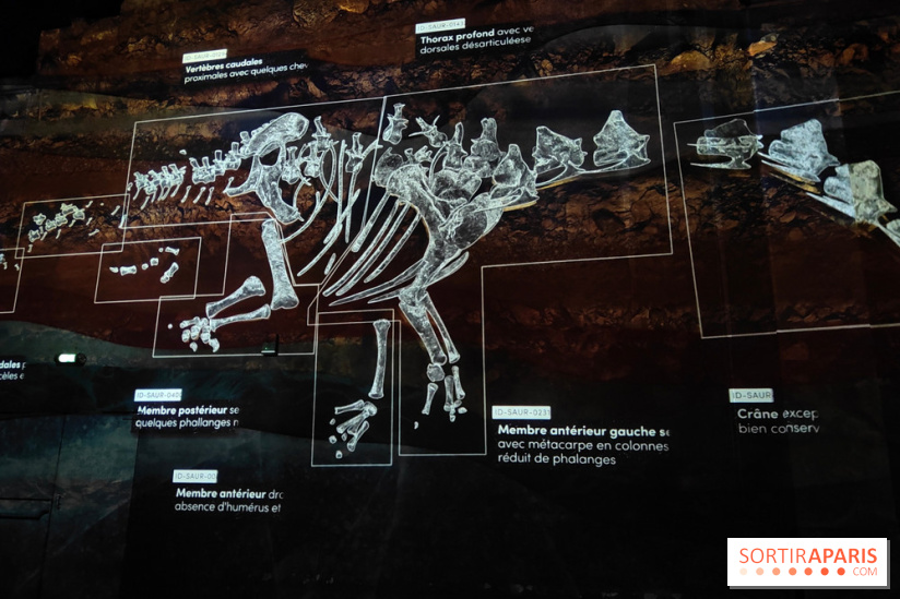Dinosaures : l'expérience immersive qui nous fait remonter le temps à l'Atelier des Lumières, photos - fotor 1764680808767
