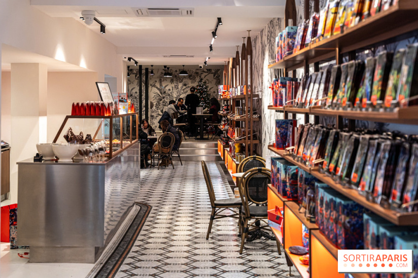 salon de thé chocolatier Chapon Saint-Germain-En-Laye - Yvelines:  chocolat chaud et gourmandises - photos - A7C01859