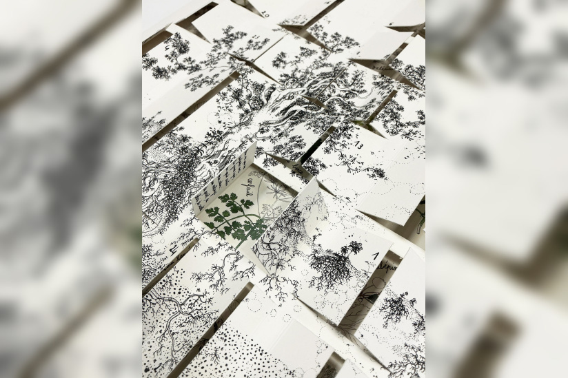 Marché de Noël des Créateurs à Colombes - Calendrier de l'avent illustré plantes sauvauges comestibles 3