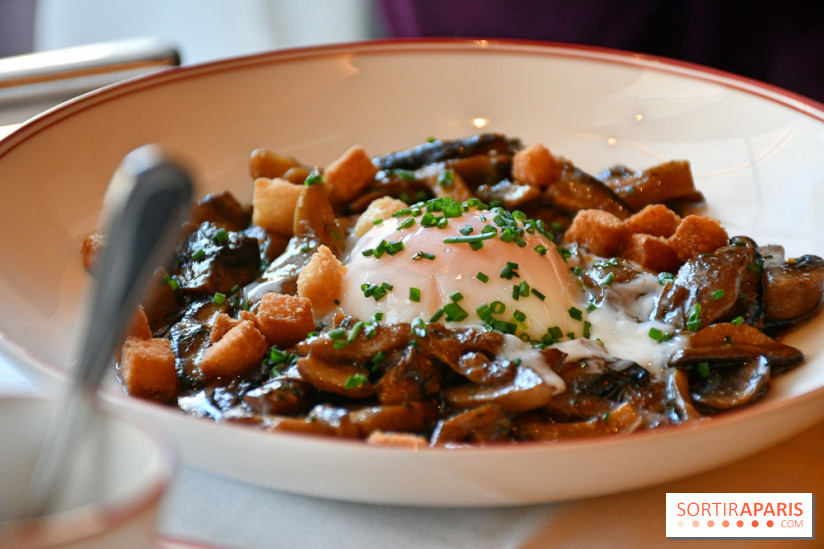 Maison François 1er, un bistrot de quartier au cœur du triangle d'or à Paris - DSC 5806
