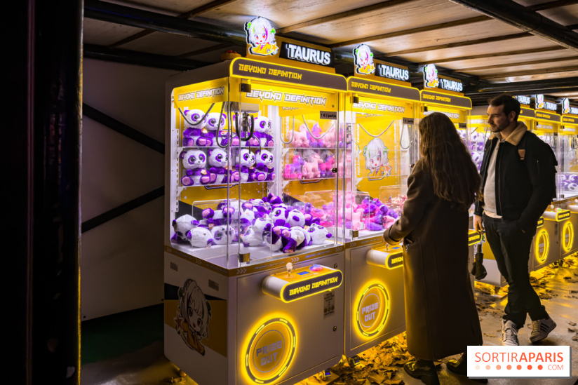 Le Japon en Lumières : le parcours lumineux et festival des lanternes 2025 du Jardin d'Acclimatation - IMG 4994