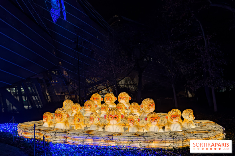 Le Japon en Lumières : le parcours lumineux et festival des lanternes 2025 du Jardin d'Acclimatation - IMG 5016