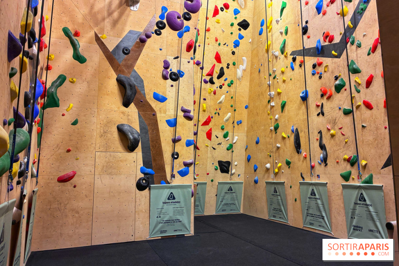 Annette K. Montparnasse - IMG 1849