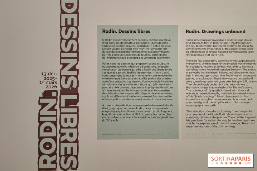 Rodin, dessins libres : une exposition d'œuvres rarement montrées au musée Rodin se dévoile