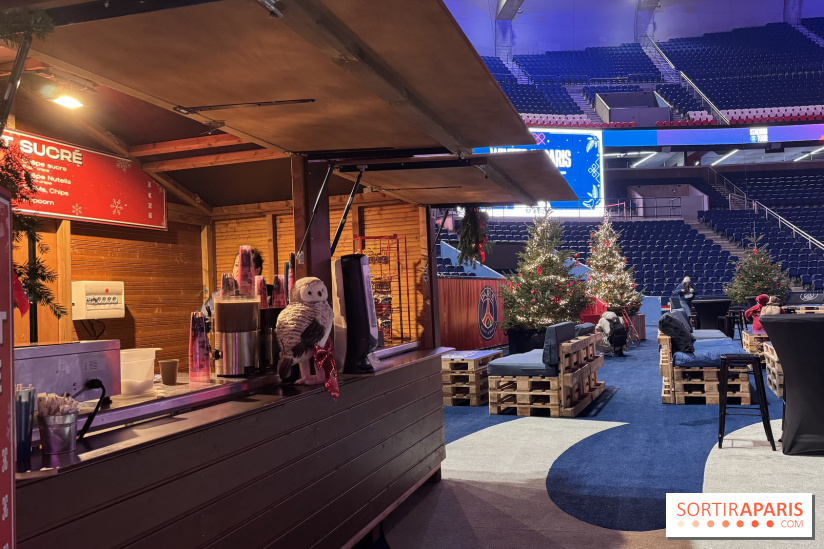 Patinoire au Parc des Princes - IMG 4427