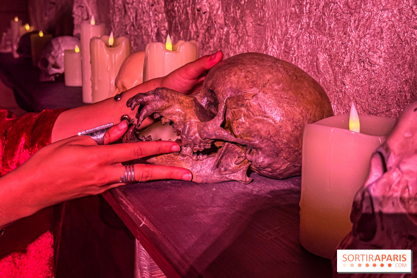 Wolf Gang – La Menace des Loups - IMG 2458 2