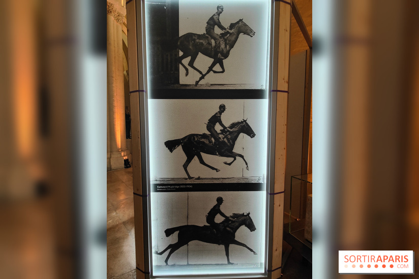 Zeus, chef d'œuvre d'artisans : une exposition sur le cheval des JO au musée des Arts et Métiers