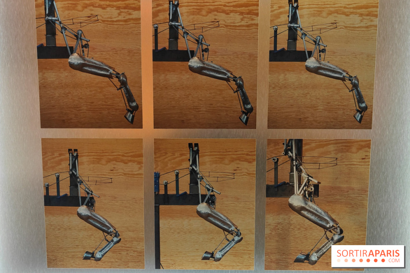 Zeus, chef d'œuvre d'artisans : une exposition sur le cheval des JO au musée des Arts et Métiers - fotor 1765963901910