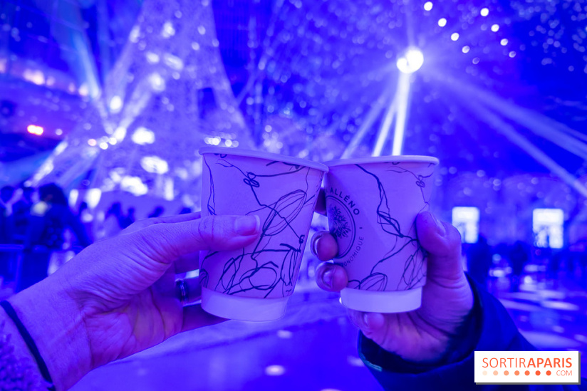 Le Grand Palais des Glaces 2025 - les photos - IMG 8111