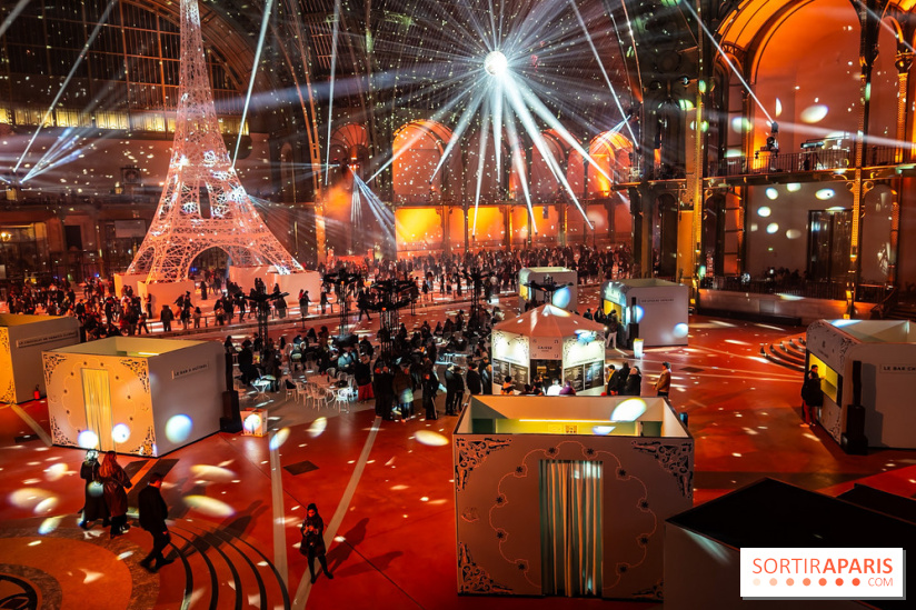 Le Grand Palais des Glaces 2025 - les photos - IMG 8118