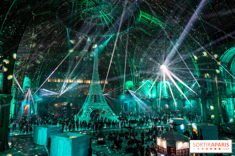 Le Grand Palais des Glaces 2025 - les photos - IMG 8130