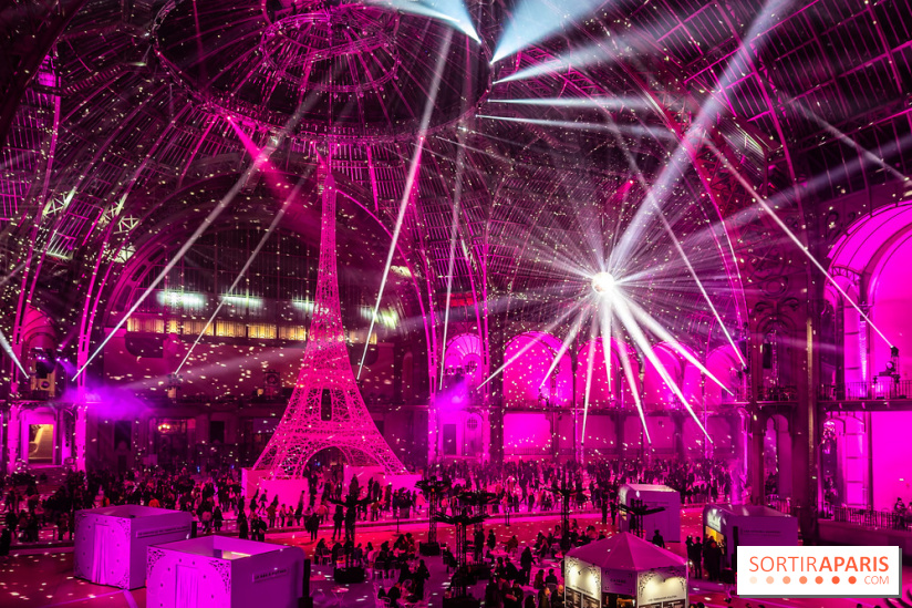 Le Grand Palais des Glaces 2025 - les photos
