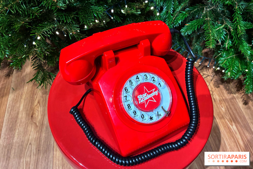 L'Appart de Noël Star Academy  - IMG 1918