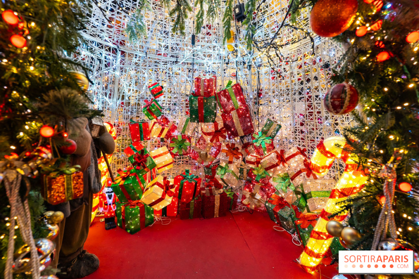 Ce passionné en Essonne transforme son jardin en Village de Noël à visiter gratuitement