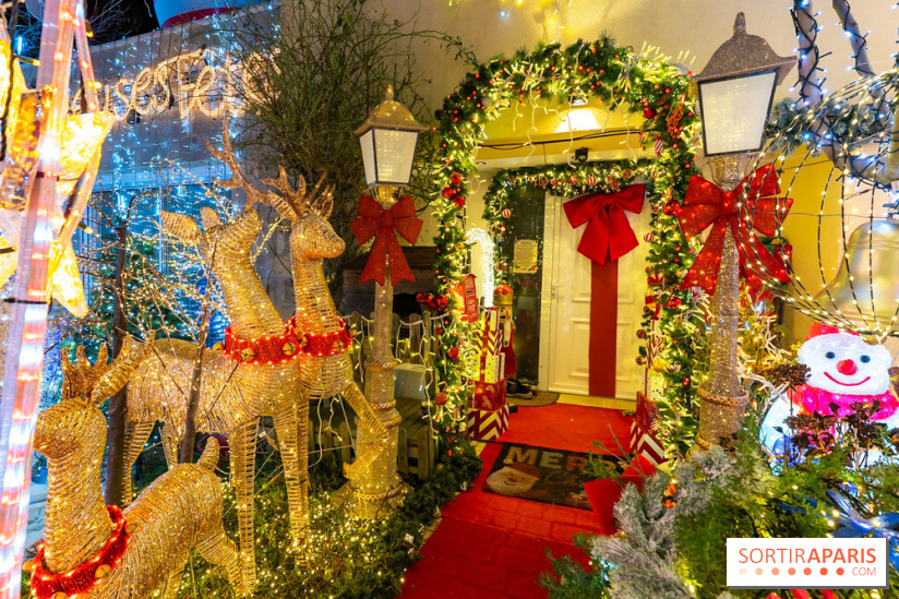 Ce passionné en Essonne transforme son jardin en Village de Noël à visiter gratuitement