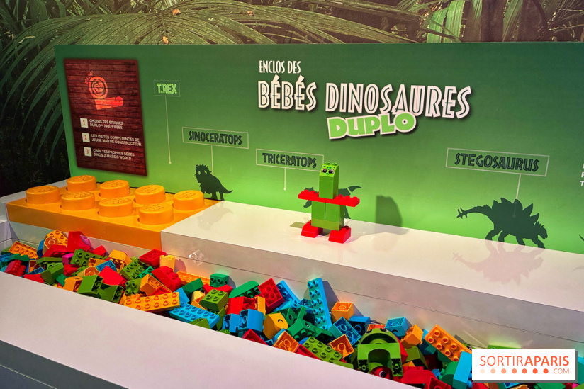 Dinosaures LEGO - IMG 2013