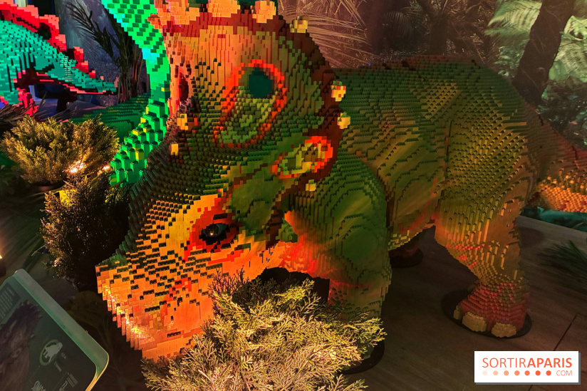 Dinosaures LEGO - IMG 2009