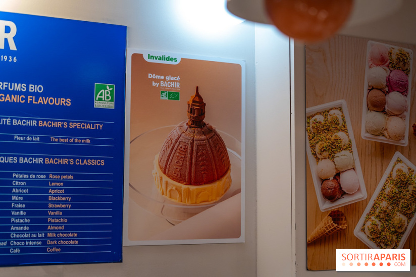 Les bûches de Noël glacées de Bachir spécial dômes parisiens  - A7C03255