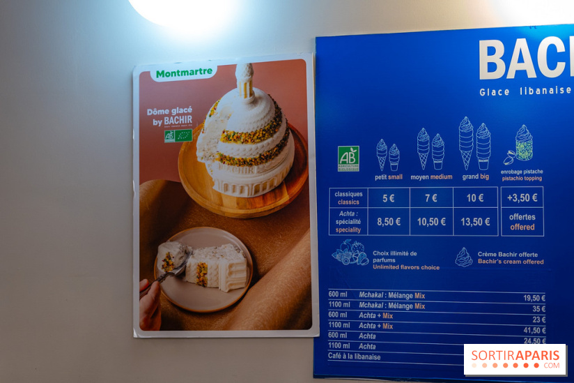 Les bûches de Noël glacées de Bachir spécial dômes parisiens  - A7C03256