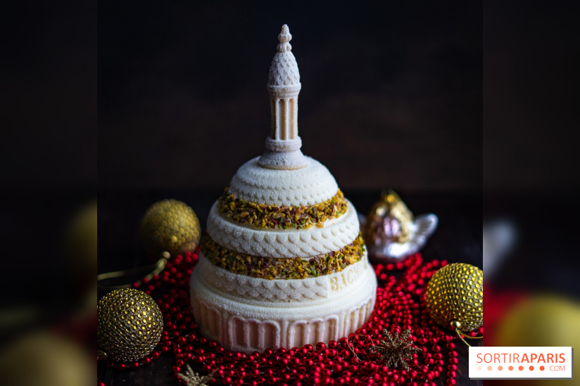 Les bûches de Noël glacées de Bachir spécial dômes parisiens  - A7C03408