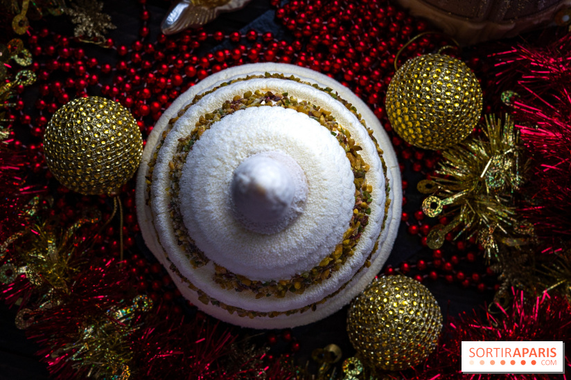 Les bûches de Noël glacées de Bachir spécial dômes parisiens  - A7C03428