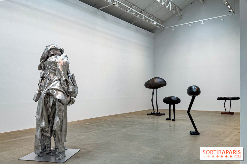 Erwin Wurm - Tomorrow yes : l'exposition gratuite à la galerie Thaddaeus Ropac, à Pantin (93) - IMG 9187