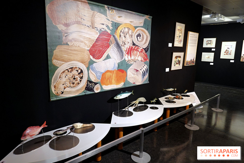 I love Sushi, nos photos de l'exposition à la Maison de la culture du Japon