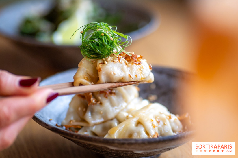 Vesper, le restaurant japonais Paris 7e, façon izakaya - A7C04095