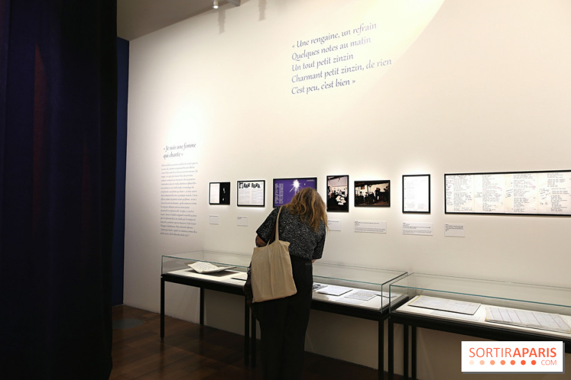 Dis quand reviendras-tu ? Barbara et son public, nos photos de l'exposition à la BnF François-Mitterrand  - Barbara Expo 17 fotor 20260127155239