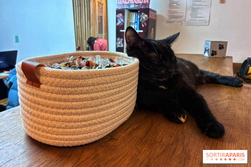 Le Chatelier  - IMG 2470