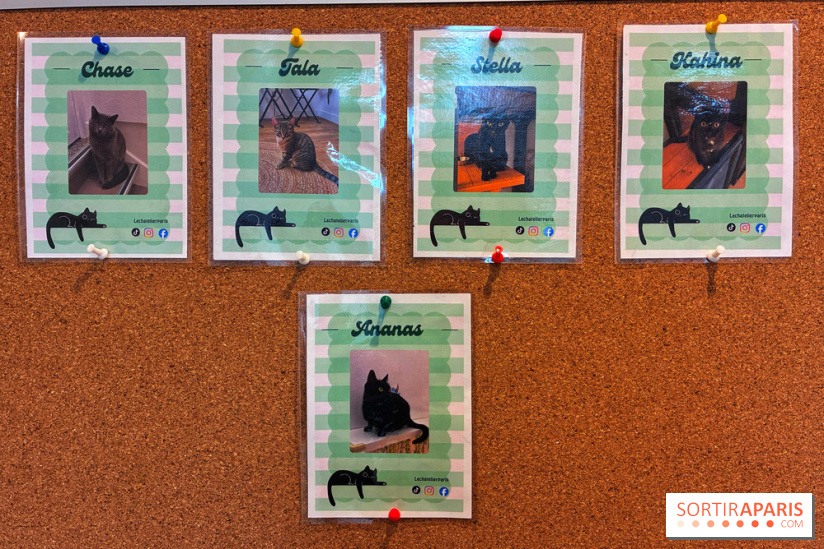 Le Chatelier  - IMG 2472