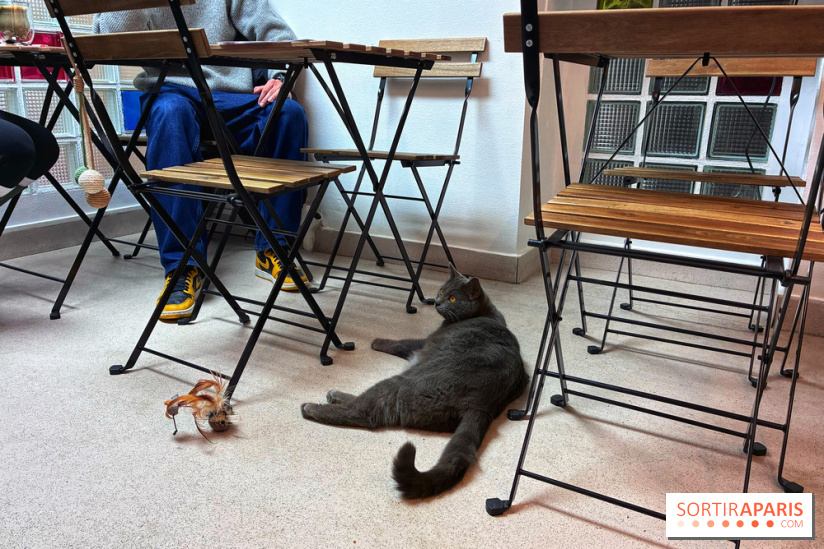 Le Chatelier  - IMG 2473