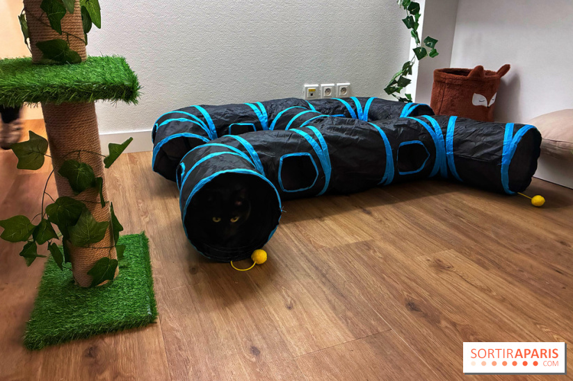 Le Chatelier  - IMG 2482