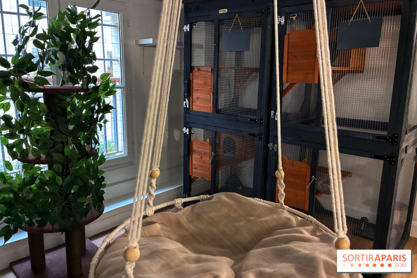 Le Chatelier  - IMG 2483