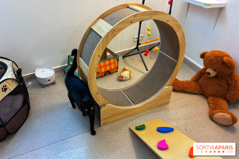 Le Chatelier  - IMG 2484